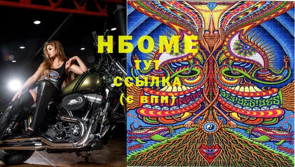 сатива Алзамай
