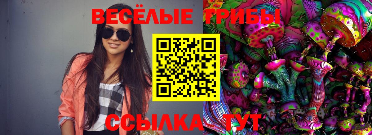 Галлюциногенные грибы Psilocybine cubensis Кропоткин